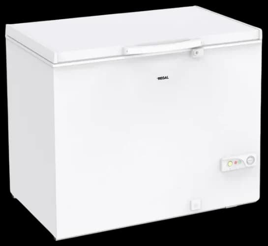 Regal SD Dual 2022 Derin Dondurucu